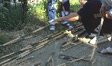 11-99Ȃ|