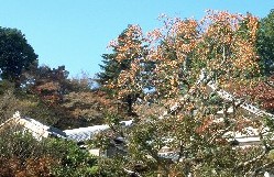 4-39`m